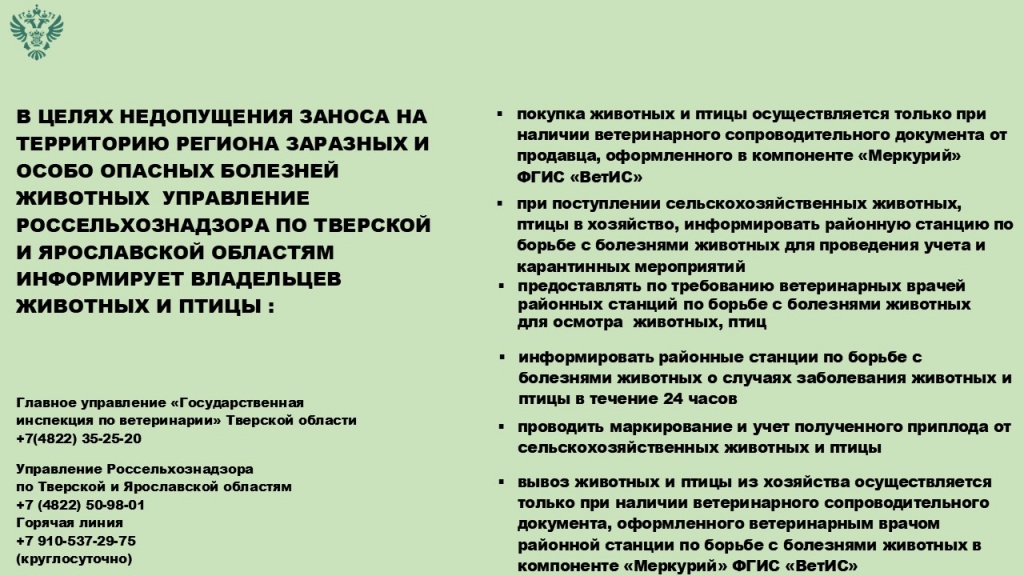 pamyatrf03.03.2026.JPG